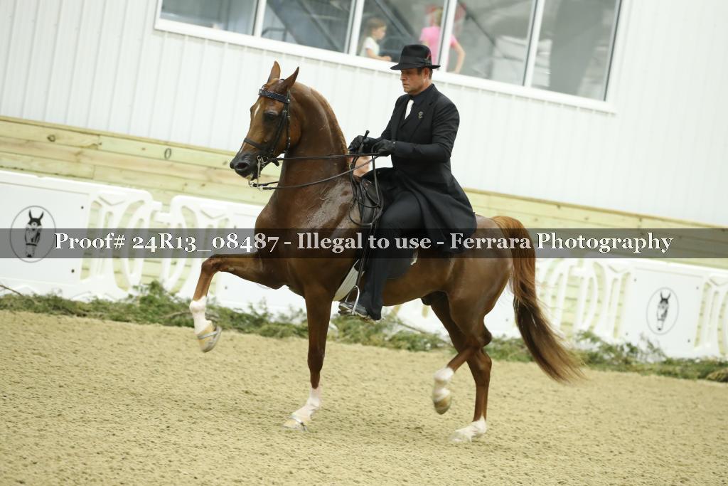 Proof 24R13_08487