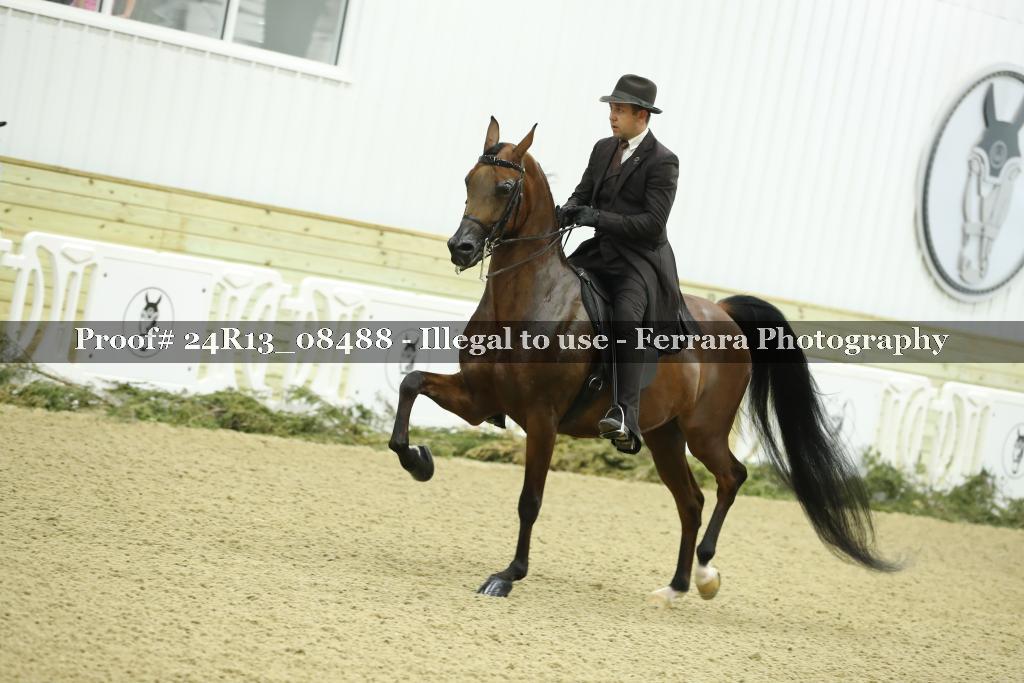 Proof 24R13_08488