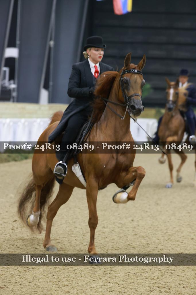 Proof 24R13_08489