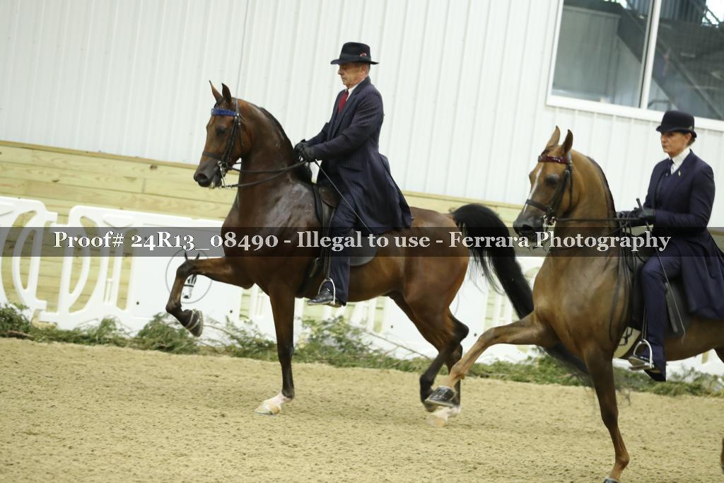 Proof 24R13_08490