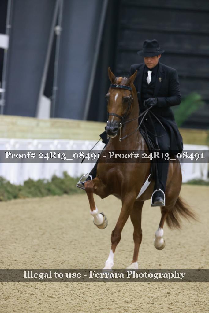 Proof 24R13_08491