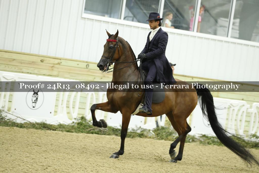 Proof 24R13_08492