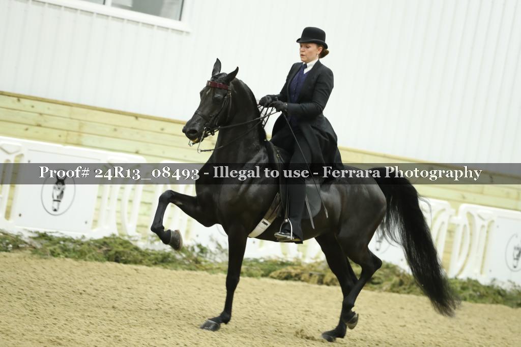 Proof 24R13_08493