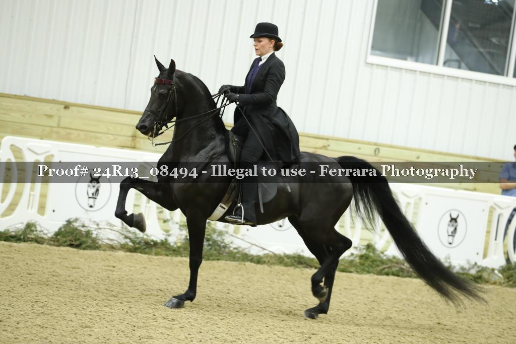 Proof 24R13_08494
