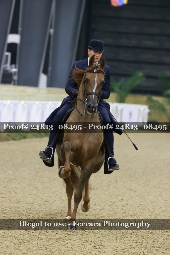 Proof 24R13_08495