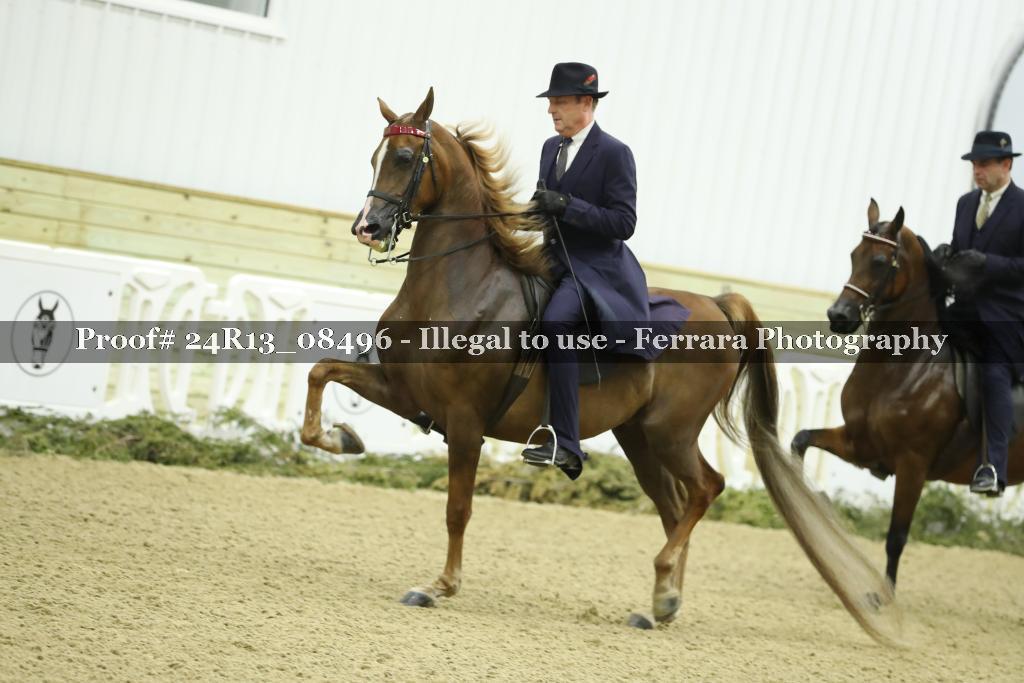 Proof 24R13_08496