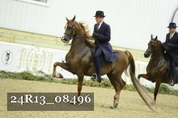 24R13_08496 proof