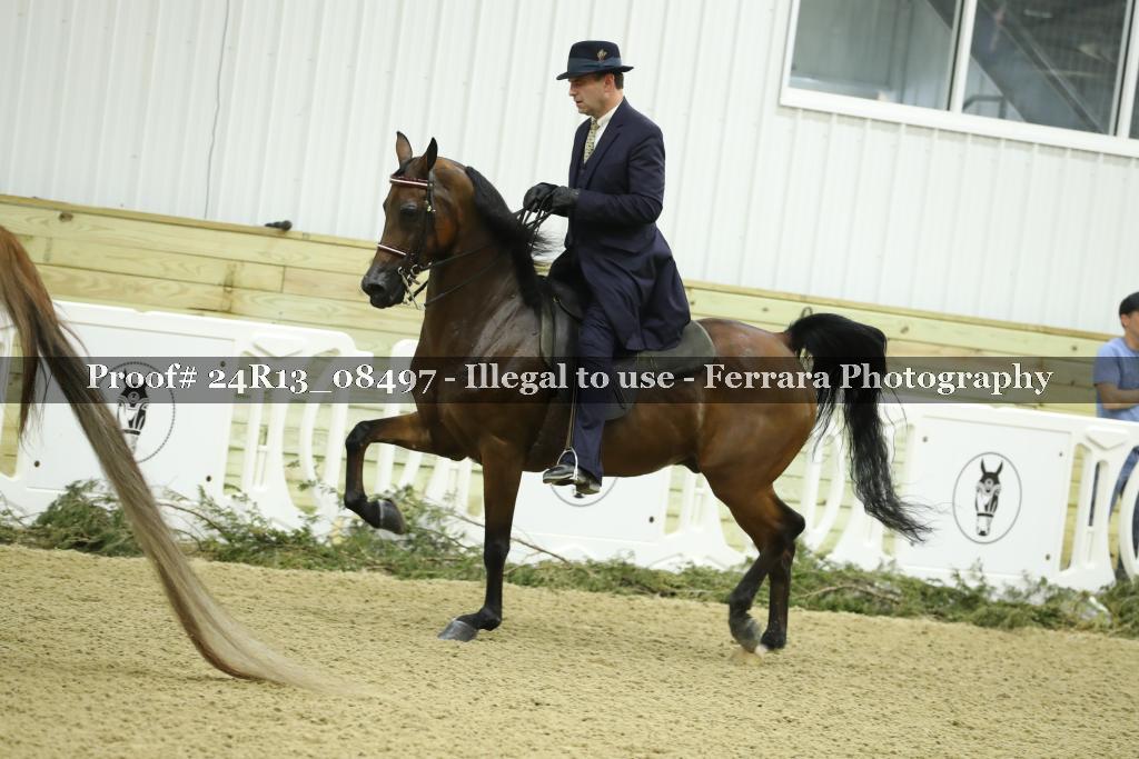 Proof 24R13_08497