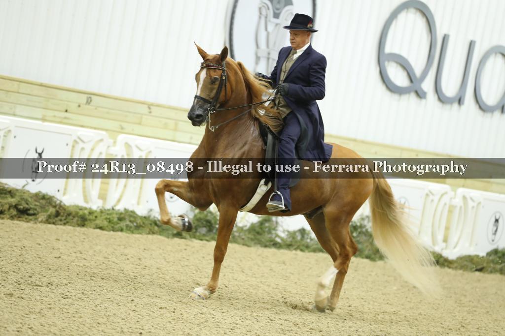 Proof 24R13_08498