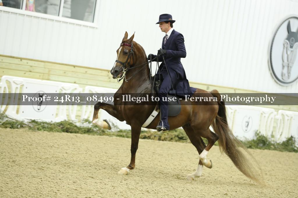 Proof 24R13_08499