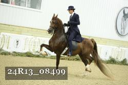 24R13_08499 proof