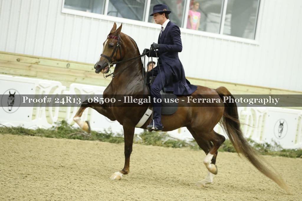 Proof 24R13_08500