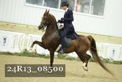 24R13_08500 proof