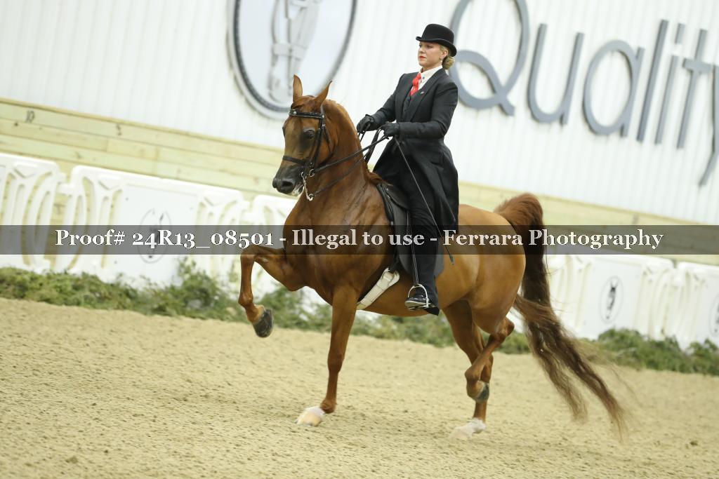 Proof 24R13_08501
