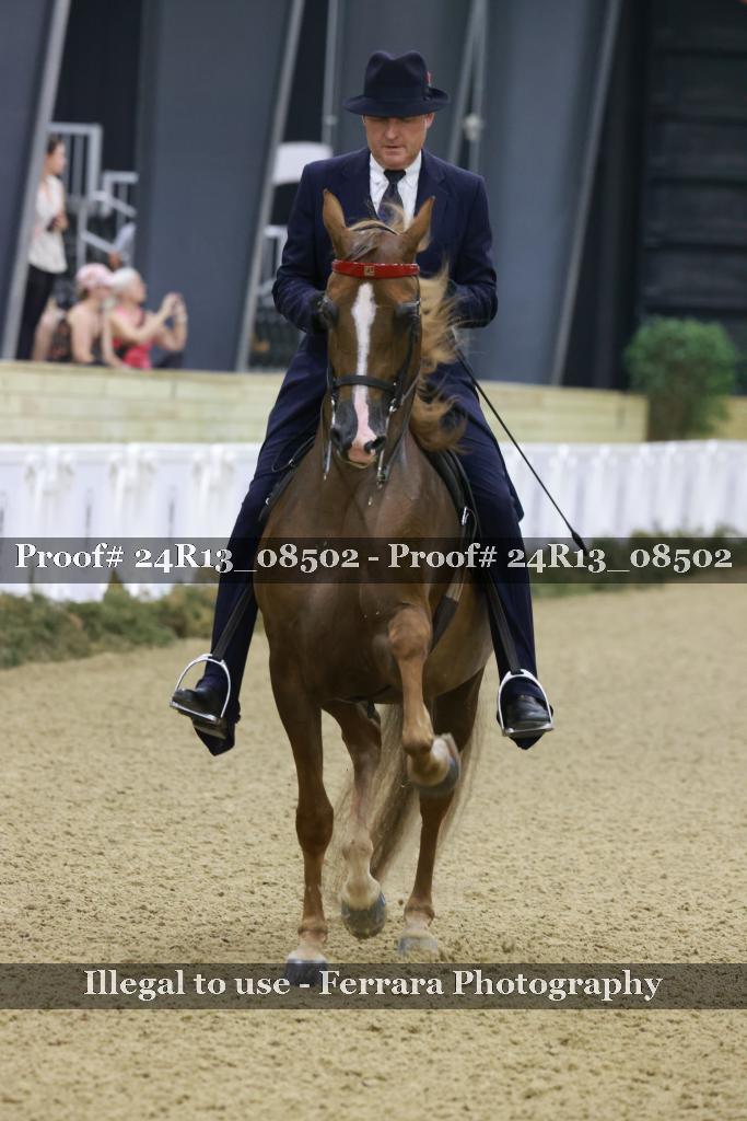 Proof 24R13_08502