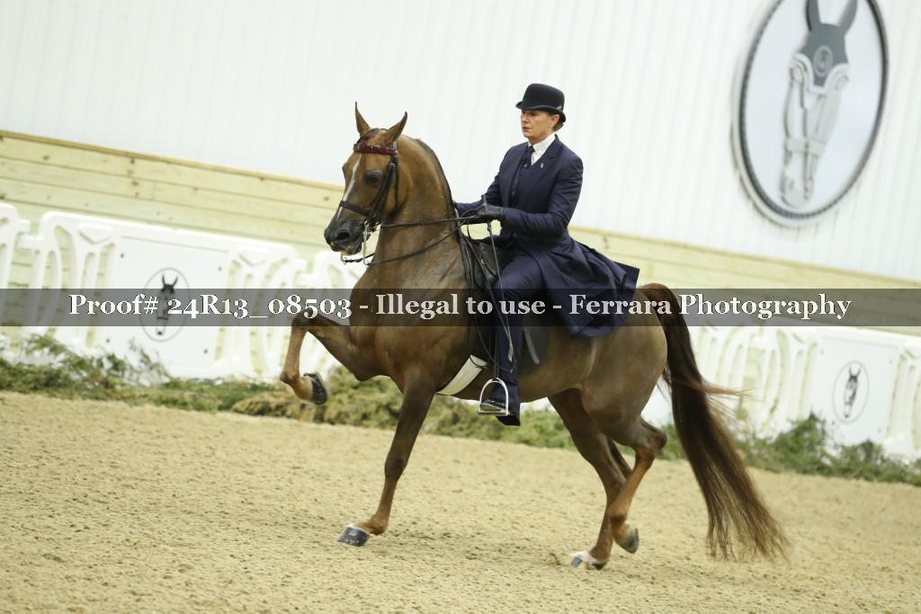 Proof 24R13_08503