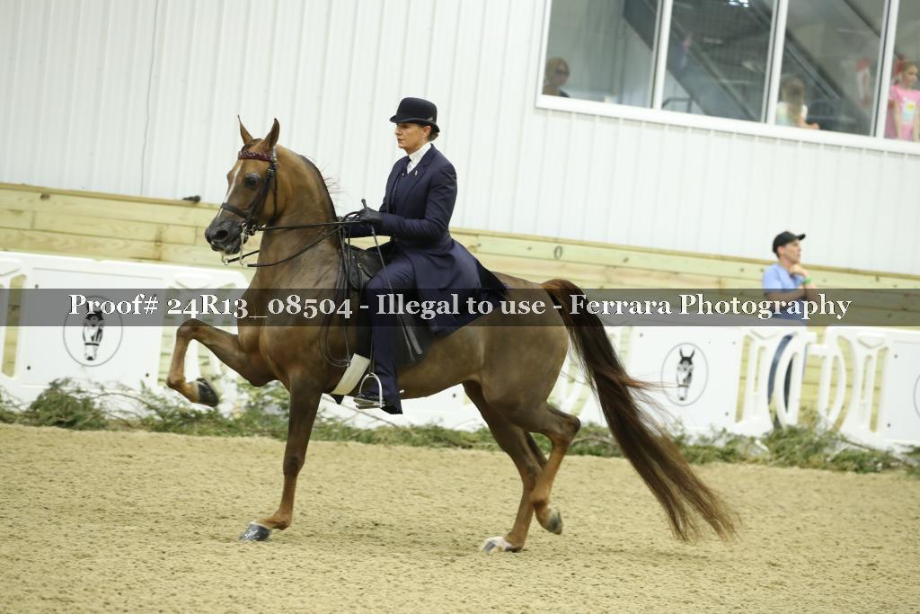 Proof 24R13_08504