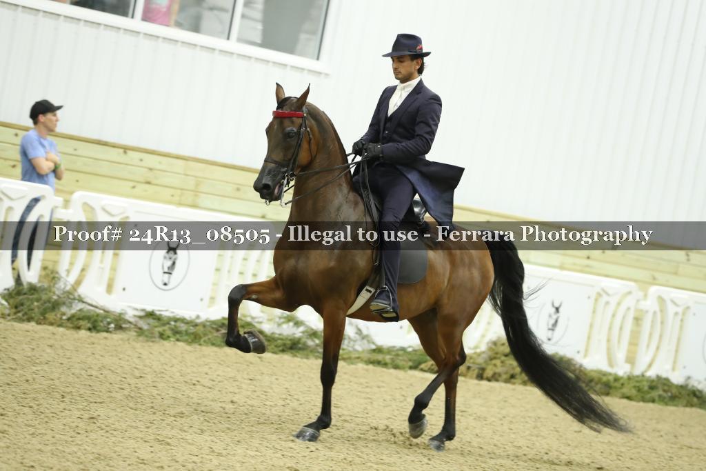 Proof 24R13_08505