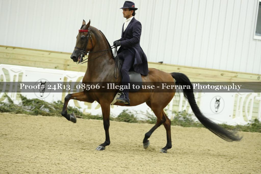 Proof 24R13_08506