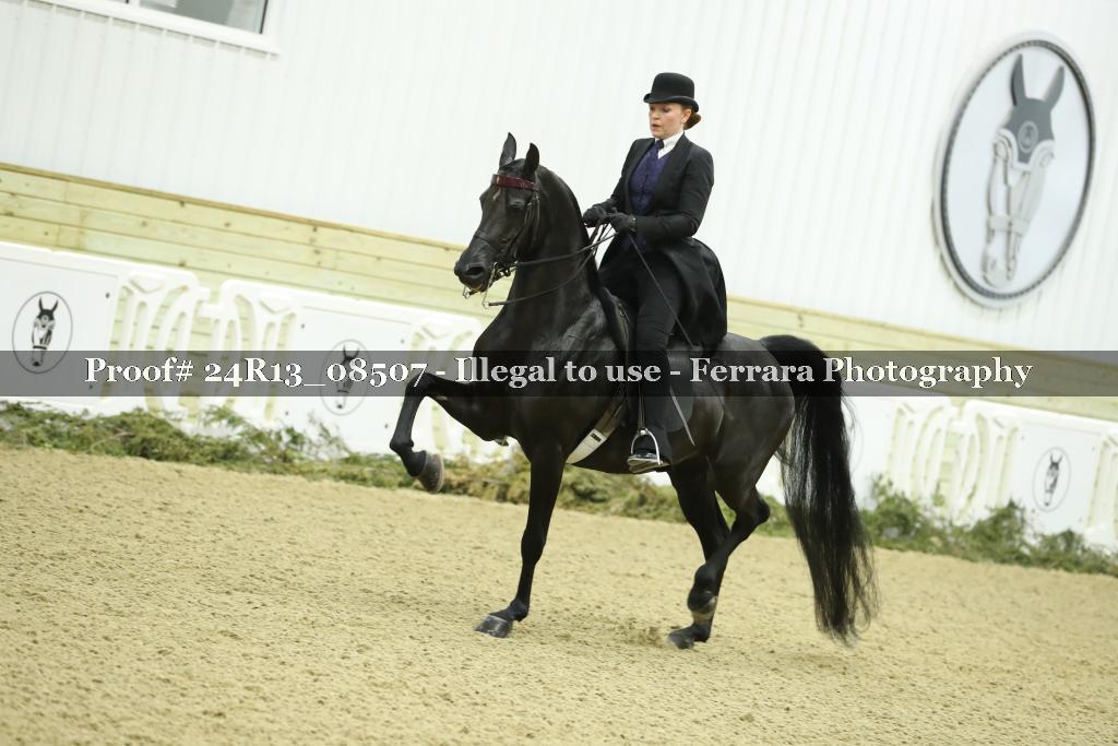 Proof 24R13_08507