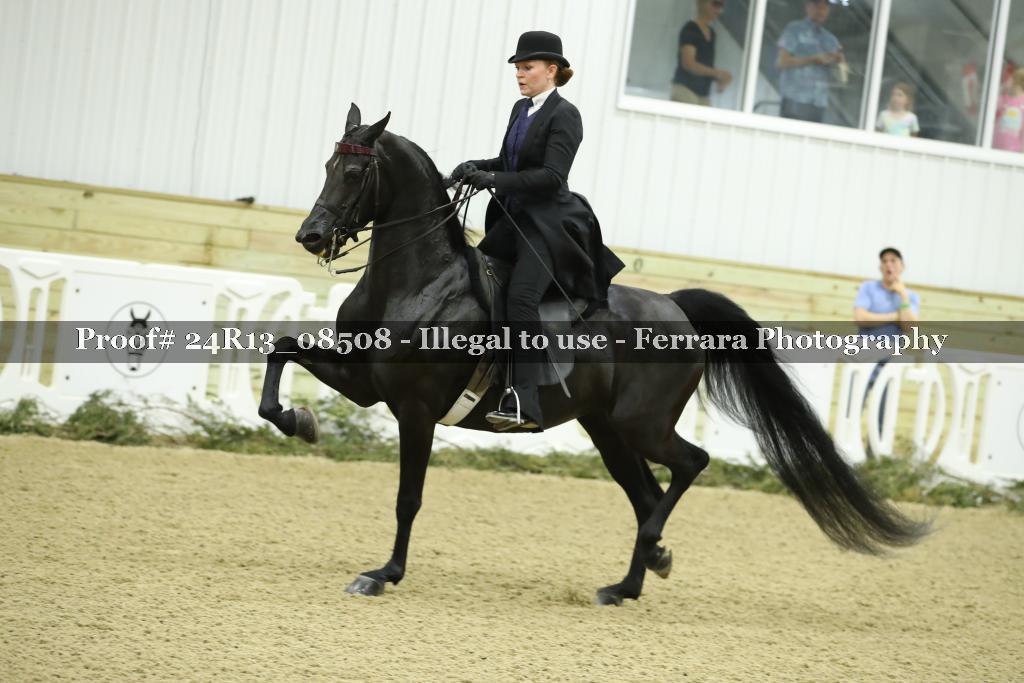 Proof 24R13_08508