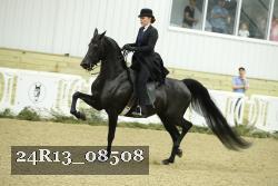 24R13_08508 proof
