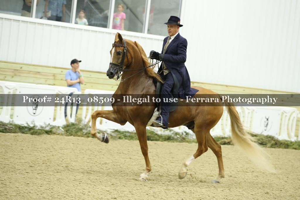 Proof 24R13_08509