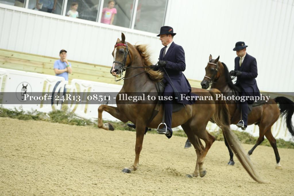 Proof 24R13_08511