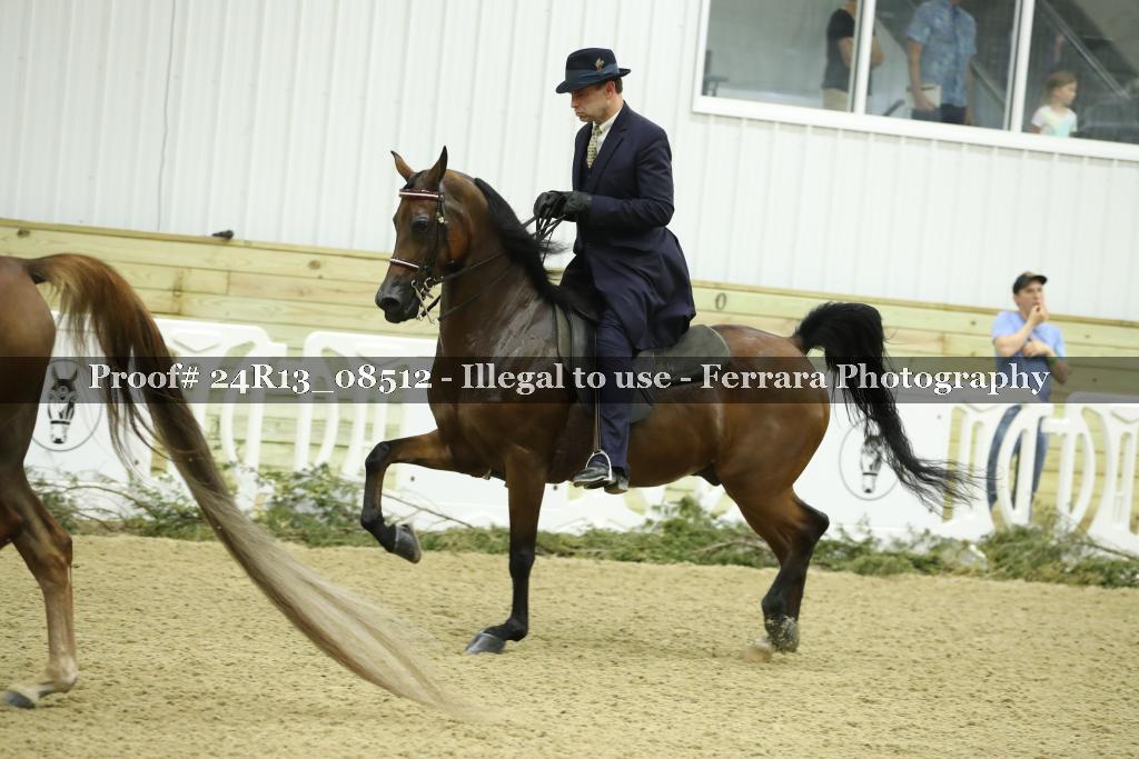 Proof 24R13_08512