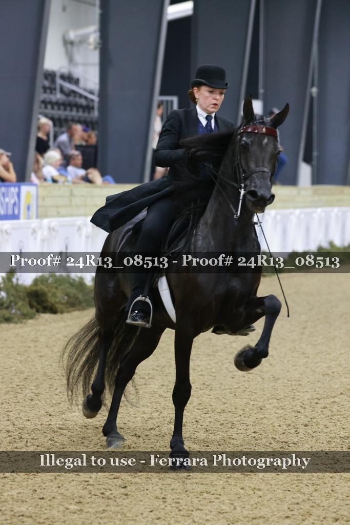 Proof 24R13_08513