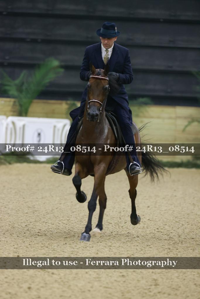Proof 24R13_08514