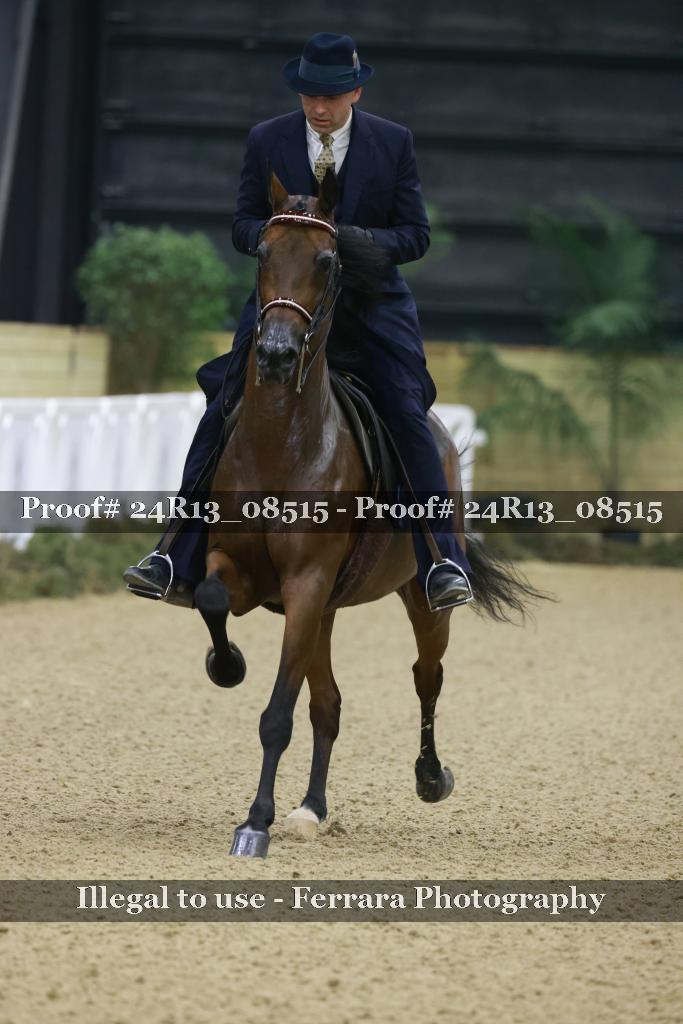 Proof 24R13_08515