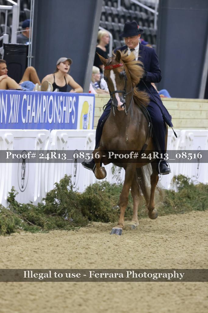 Proof 24R13_08516