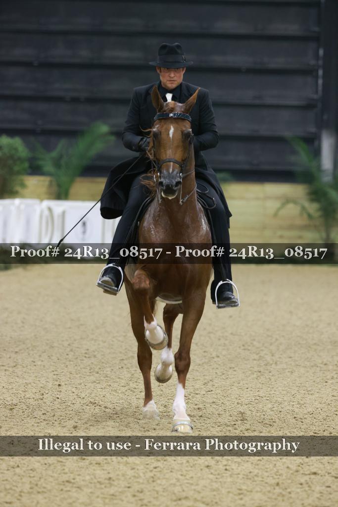 Proof 24R13_08517