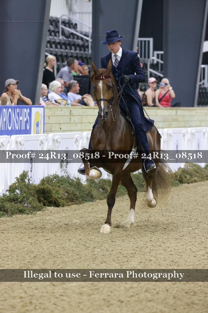 Proof 24R13_08518