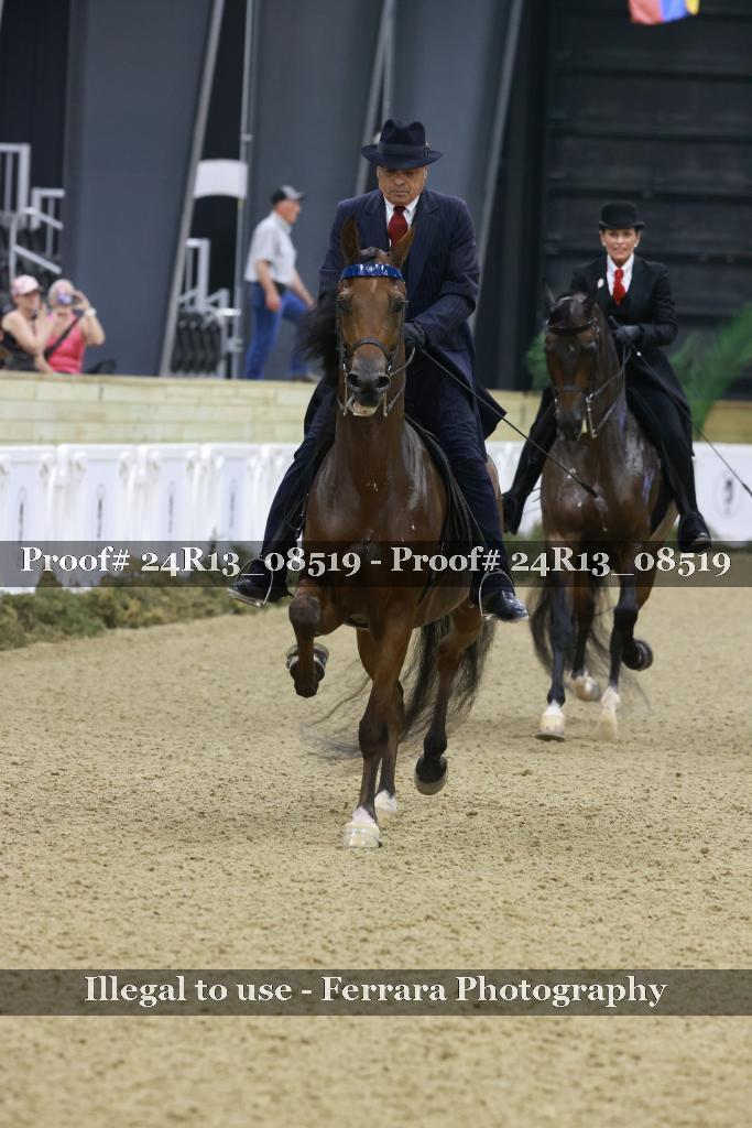 Proof 24R13_08519