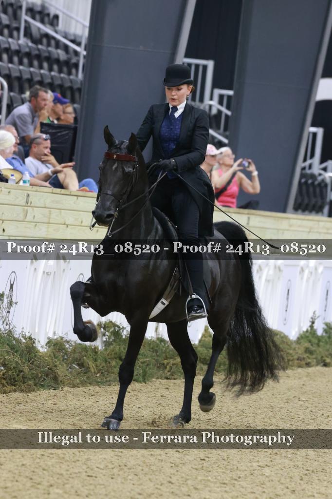 Proof 24R13_08520