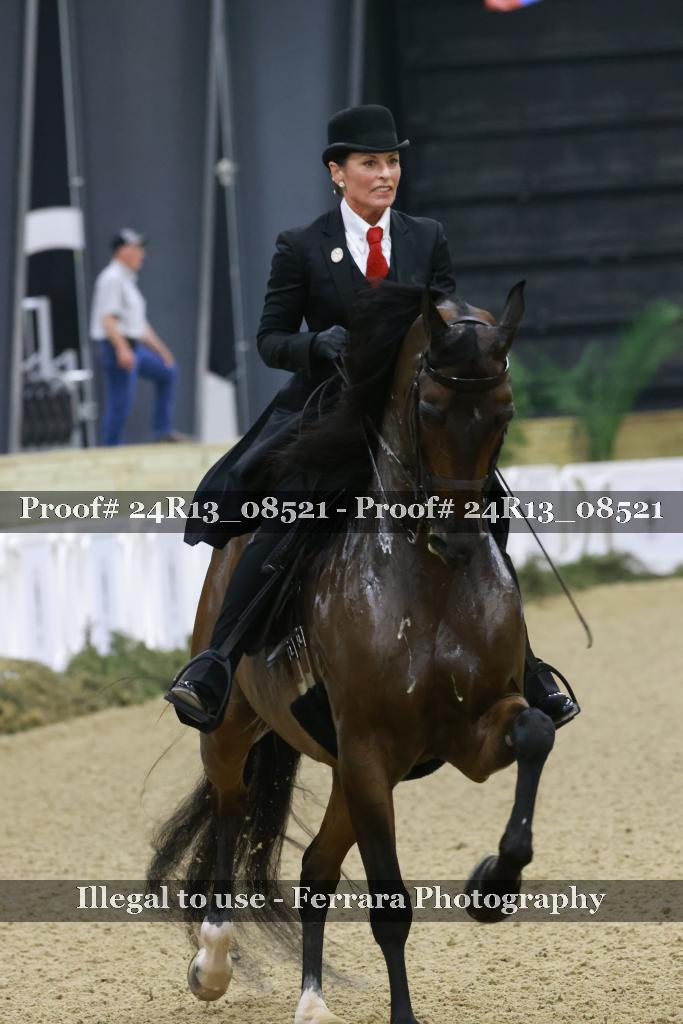 Proof 24R13_08521