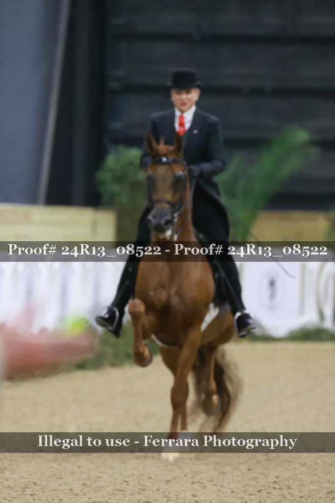 Proof 24R13_08522