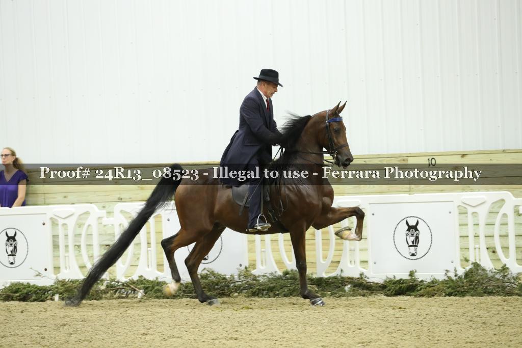 Proof 24R13_08523