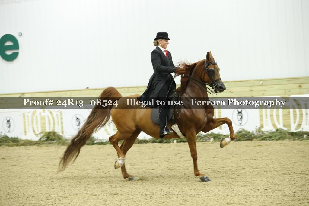Proof 24R13_08524