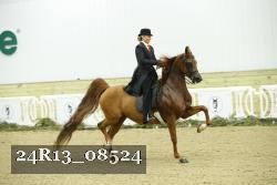 24R13_08524 proof