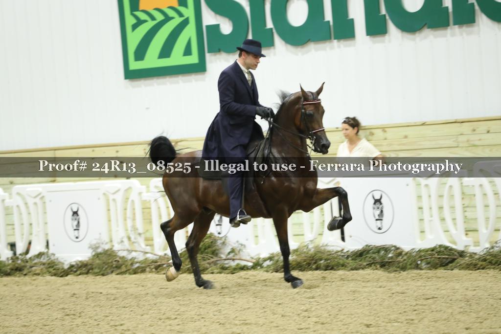 Proof 24R13_08525
