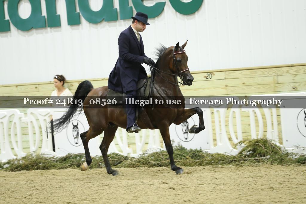 Proof 24R13_08526