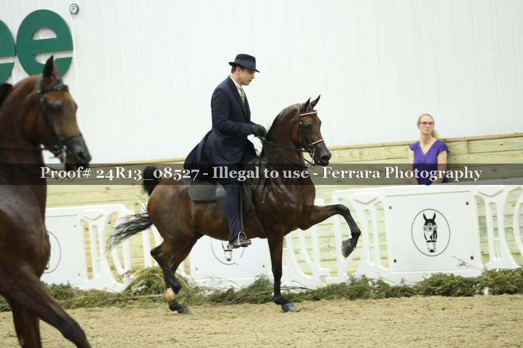 Proof 24R13_08527