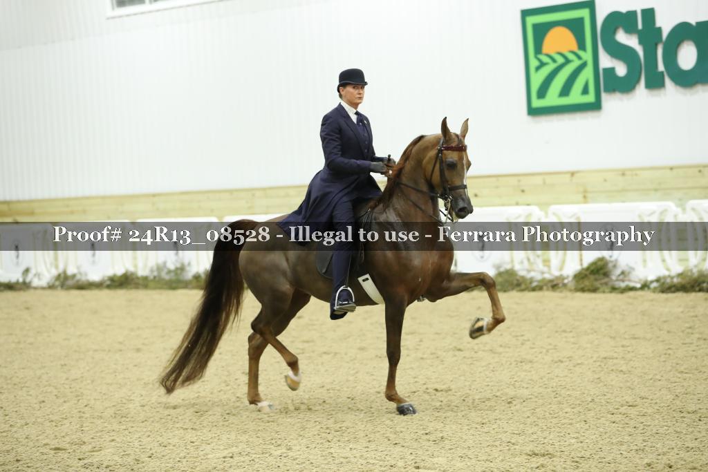 Proof 24R13_08528