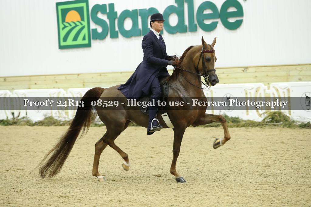 Proof 24R13_08529