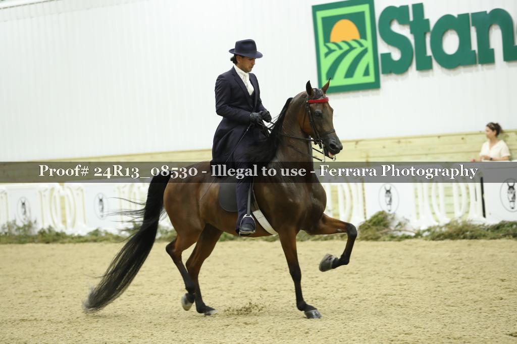 Proof 24R13_08530