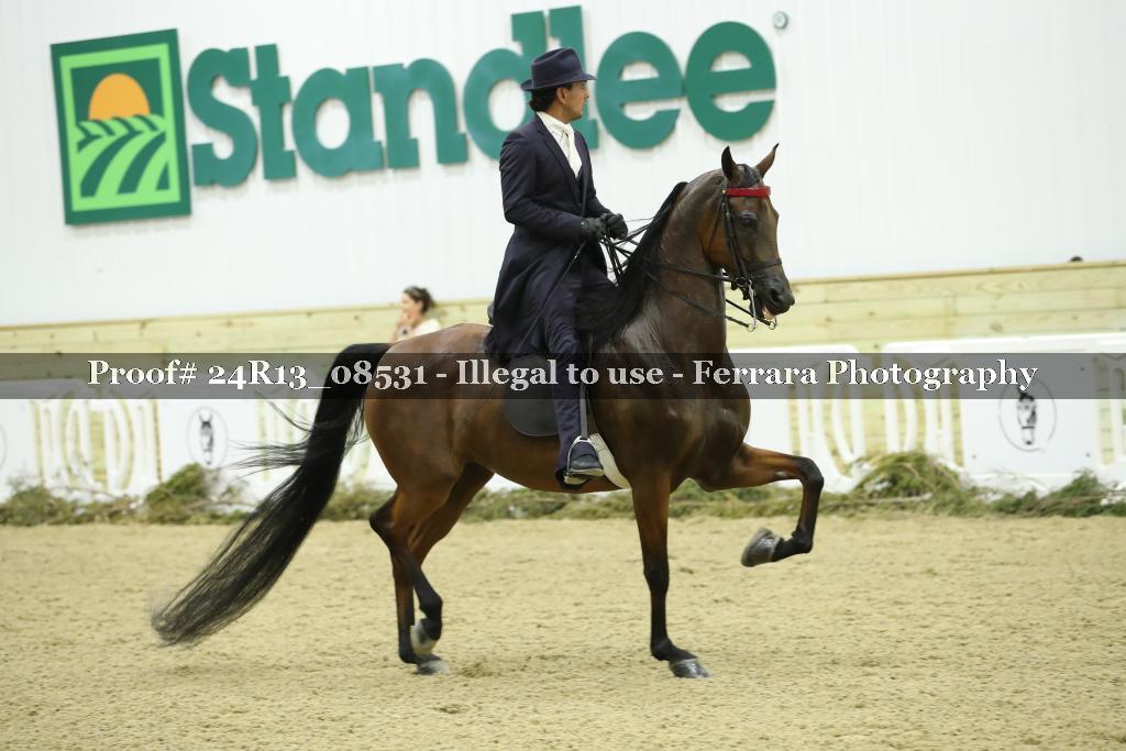 Proof 24R13_08531