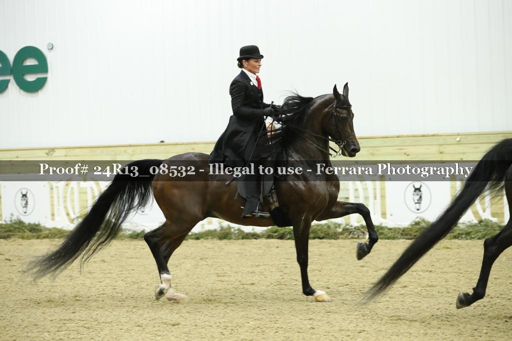 Proof 24R13_08532